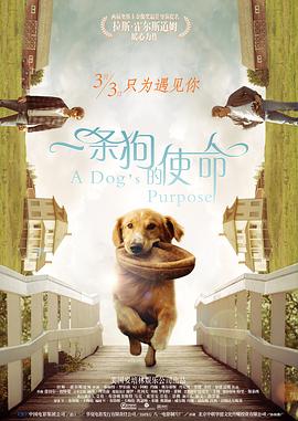 恋情曝光后，绫濑遥所属事务所回应：“私生活交由本人处理。
